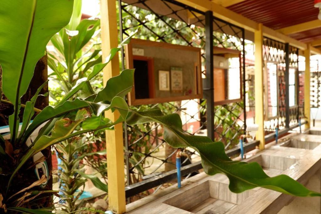 Tropical Breeze Hostel Cebu - Cebu Center Екстериор снимка
